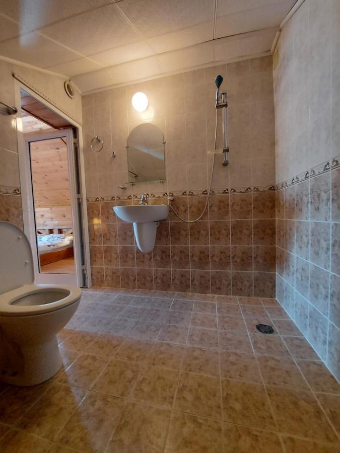 Vasi Apartments ドブリニシュテ エクステリア 写真